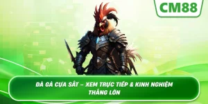 Đá Gà Cựa Sắt – Sân Chơi Kịch Tính Và Cơ Hội Kiếm Tiền Khủng