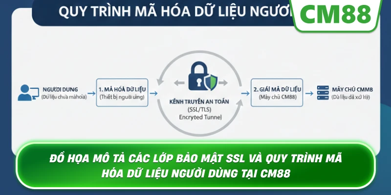 Đồ họa mô tả các lớp bảo mật SSL và quy trình mã hóa dữ liệu người dùng tại Cm88